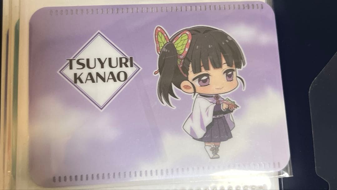 鬼滅の刃　成田アニメデッキ　パスケース　紙飛行機verフルコンプセット