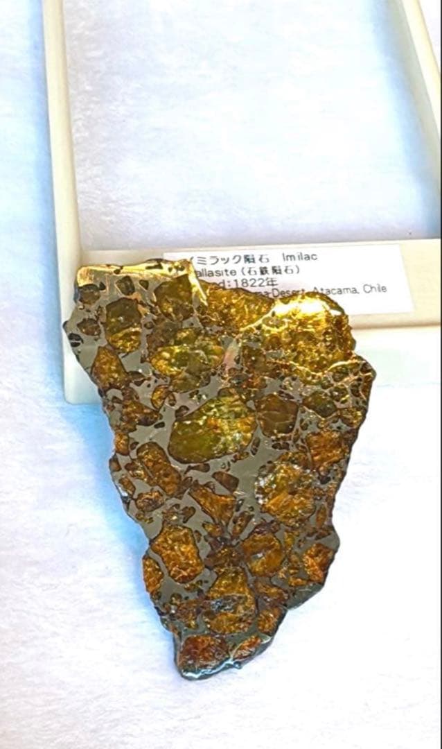【存在感が段違い】28.0g イミラックパラサイト隕石標本（東京サイエンス購入）