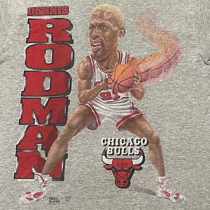90s デニスロッドマン×シカゴブルズ ヴィンテージ Tシャツ NBA NIKE