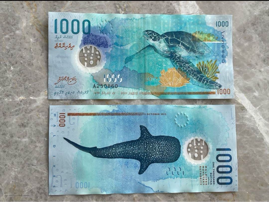 モルディブ 1000ルフィア（MVR）紙幣（海亀・ジンベイザメ）