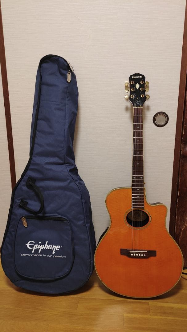 Epiphone El Rio (ケース付き)