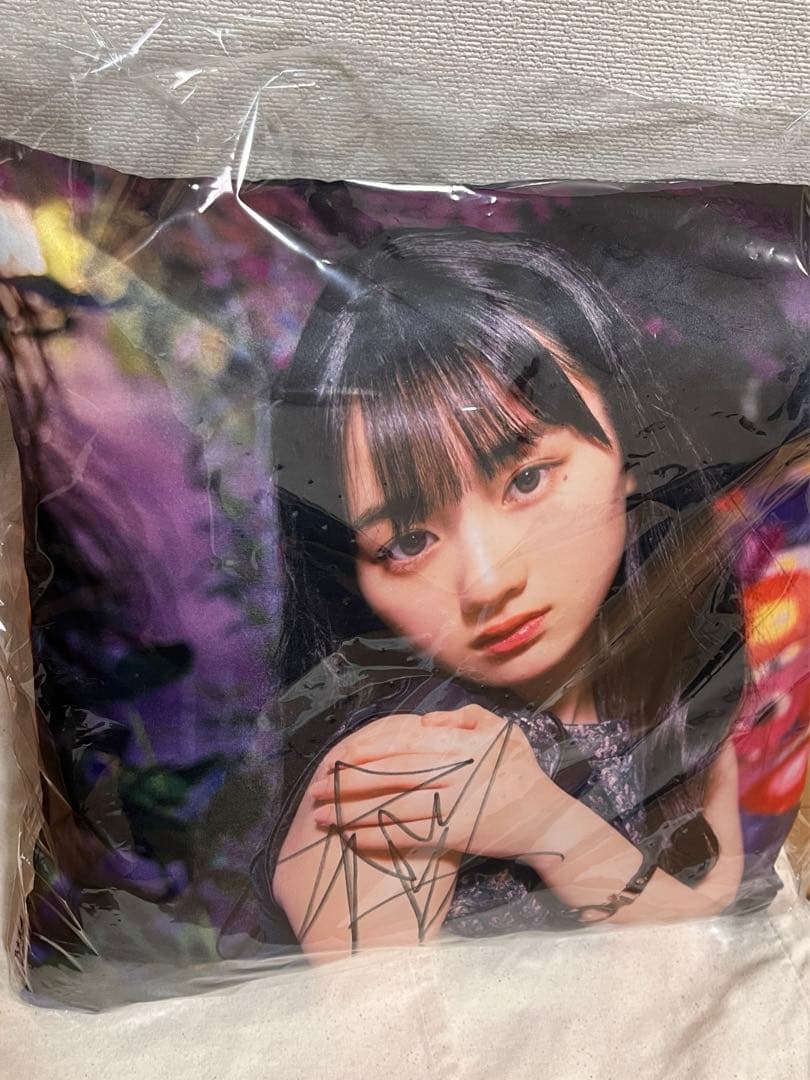 本日限定割 乃木坂46 乃木フェス 直筆サイン入りサコッシュ 川崎桜