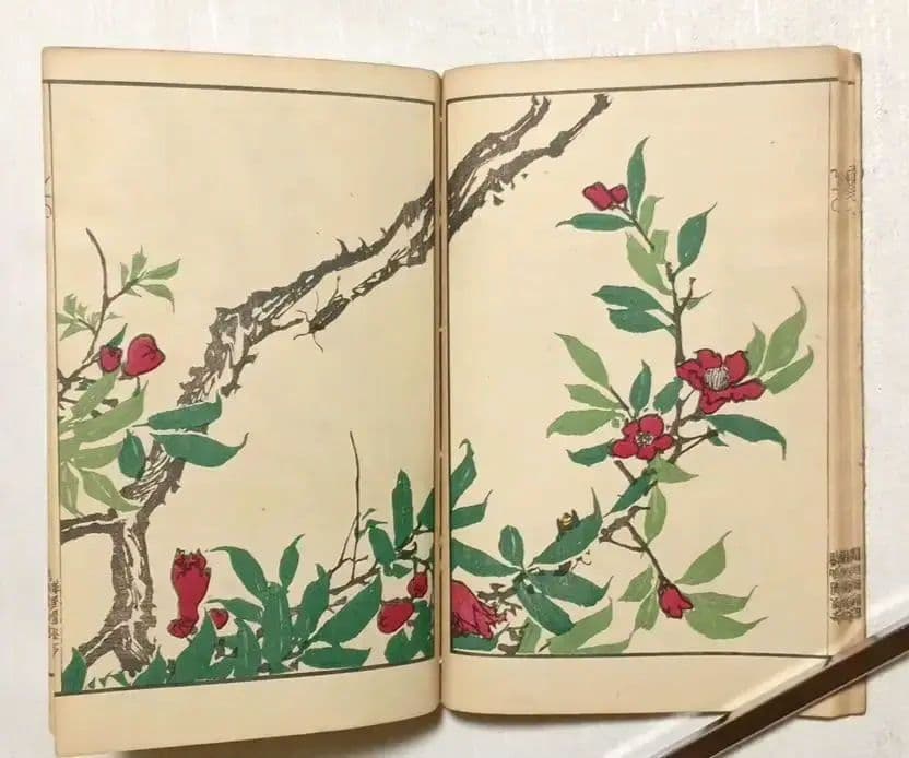 金波園画譜No.2（色刷り木版画本) 河村文鳳画、文化8年出版 - メルカリ