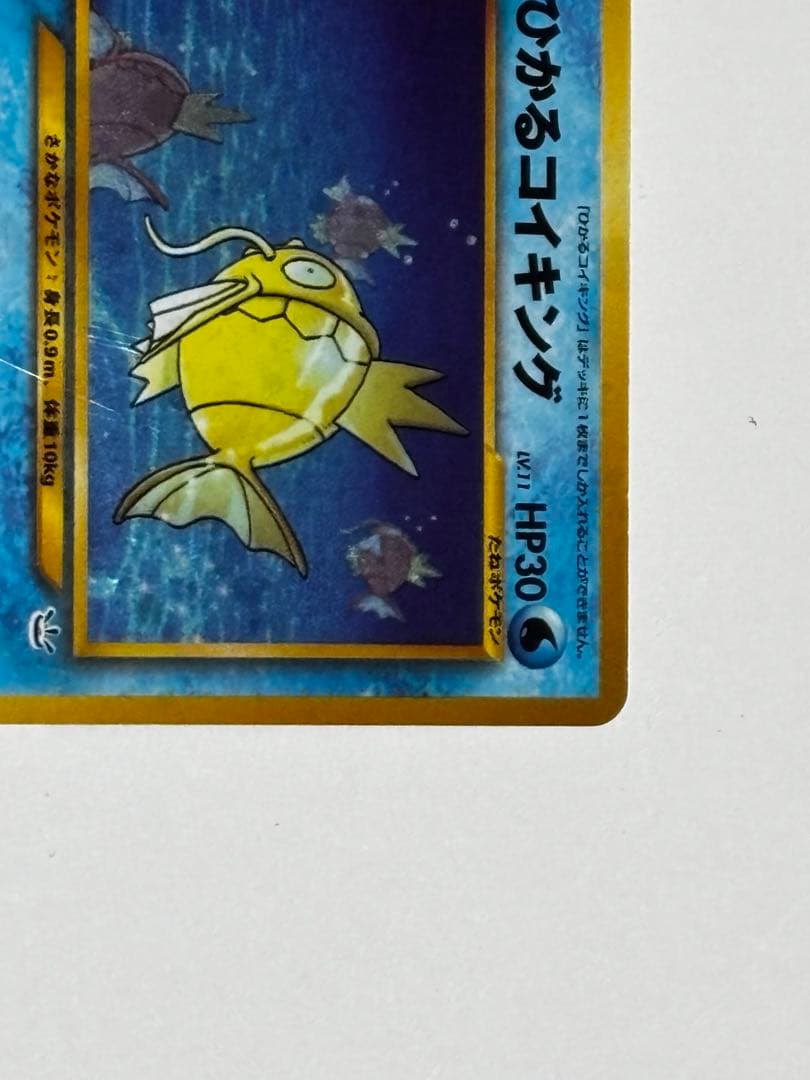 【即購入可能】ひかるコイキング めざめる伝説　旧裏