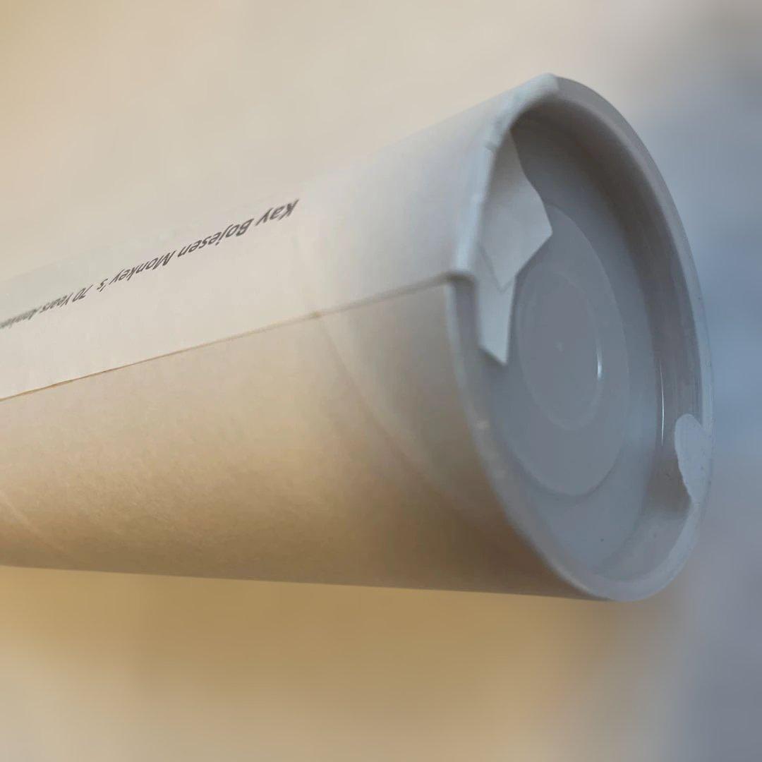 おまけ付き 未開封 カイボイスン モンキー ポスター 馬場雄