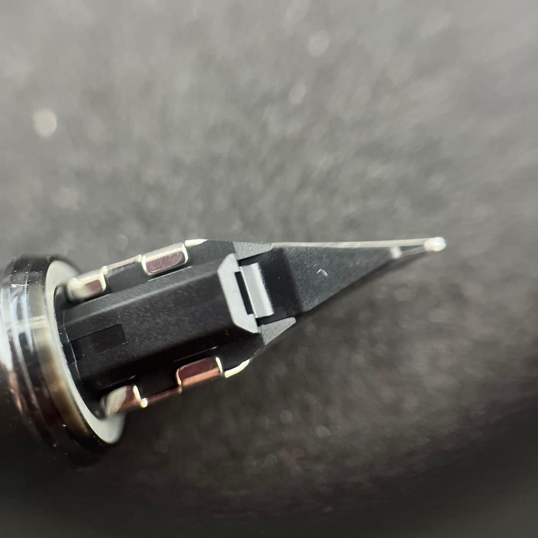 限定生産品】PLATINUM PROCYON LUSTER ナミニチドリ - メルカリ