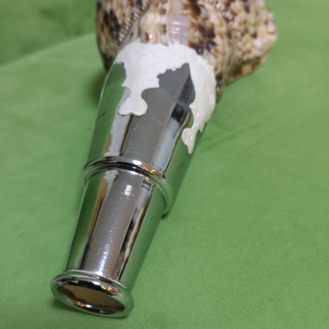 法螺貝 ホラ貝 クリスマス プレゼント｜法螺貝 ホラ貝 クリスマス