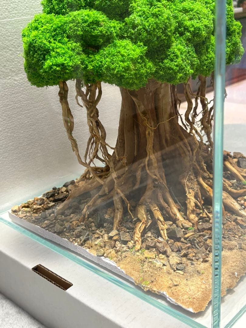 盆栽流木 人工 アクアリウム