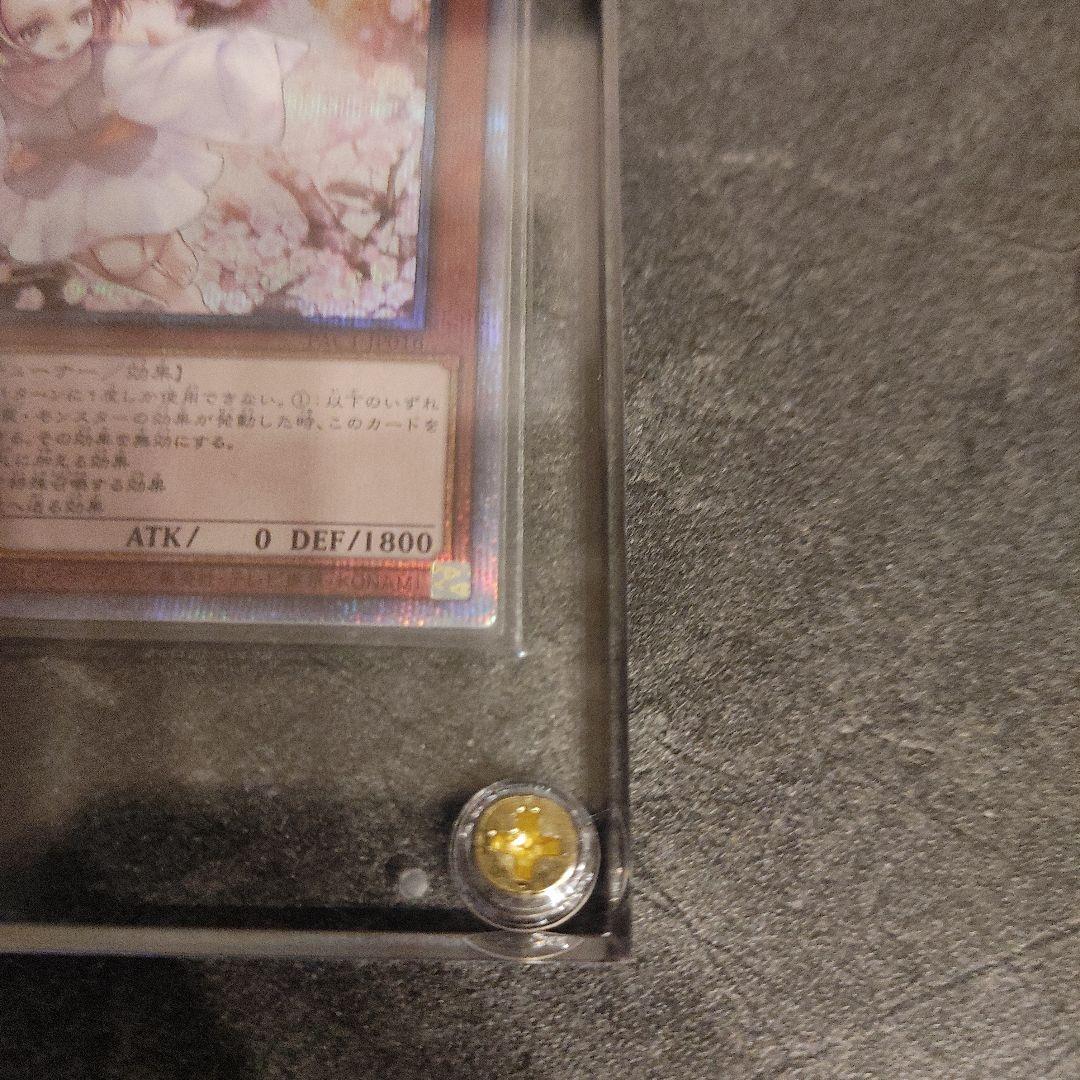 遊戯王　灰流うらら　プリズマ　ホログラムエラー　はるうらら