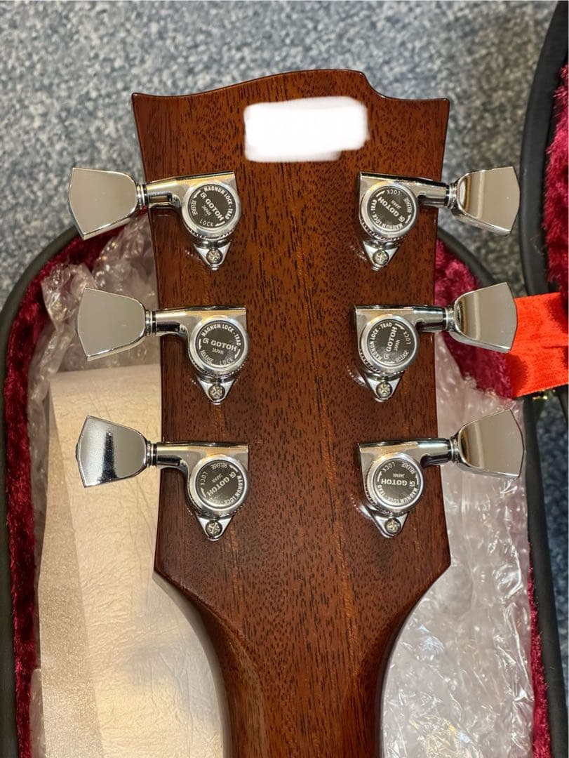 ギター momose MSG SAKURA SP 25 PH SKP GRD