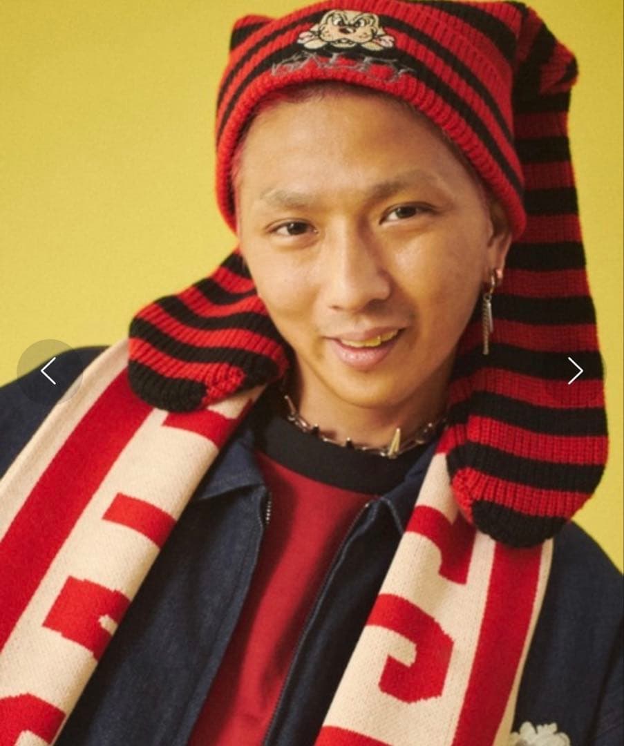 ガルフィー 犬耳ニットキャップ - メルカリ