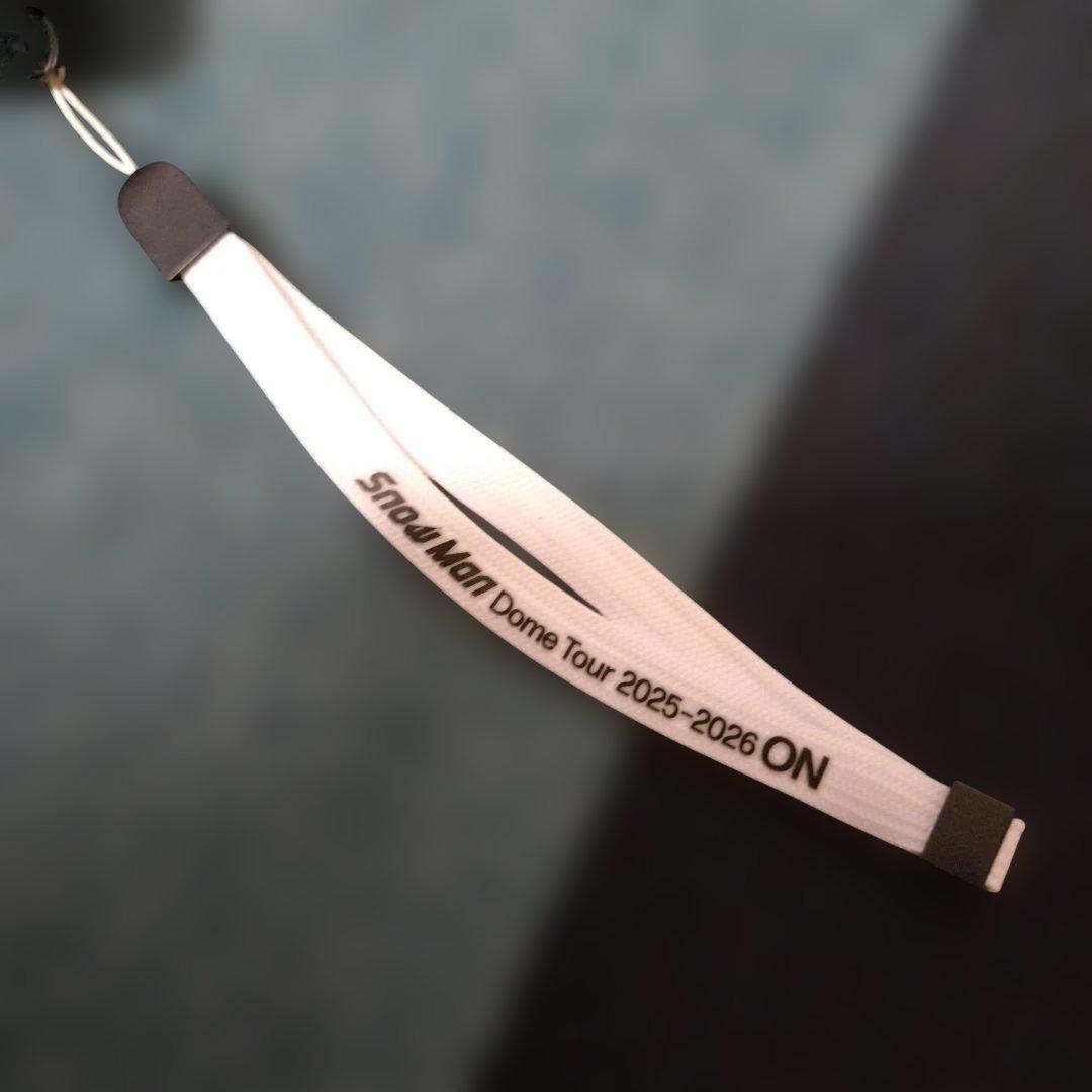 Man　DOMETOUR　2005 2026 ON ペンライト　うちわ