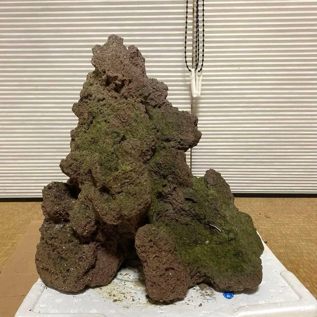 【美形】軽石　岩石　水槽　装飾 アクアリウム　NO4 美形】軽石 岩石 水槽 装飾 アクアリウム NO4 美形】軽石 岩石 水槽