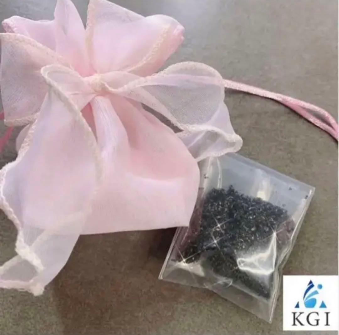 本物の流れ星の粉✨✨✨⭐️隕石⭐️✨✨✨ 本物の