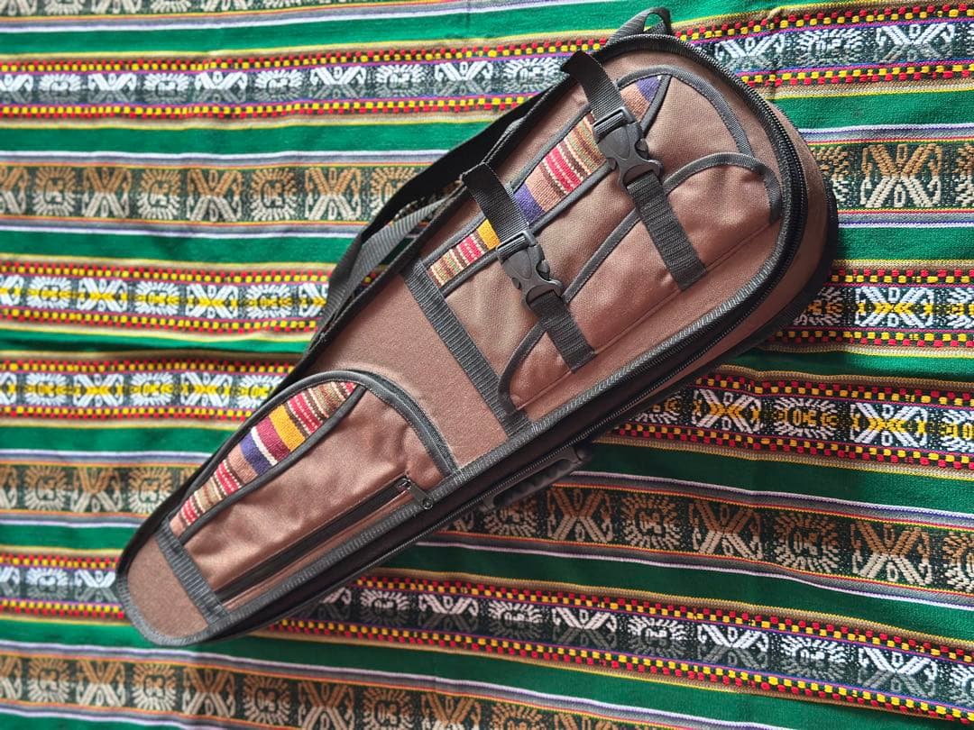 チャランゴ フォルクローレ ケース付 charango ケーナ サンポーニャ