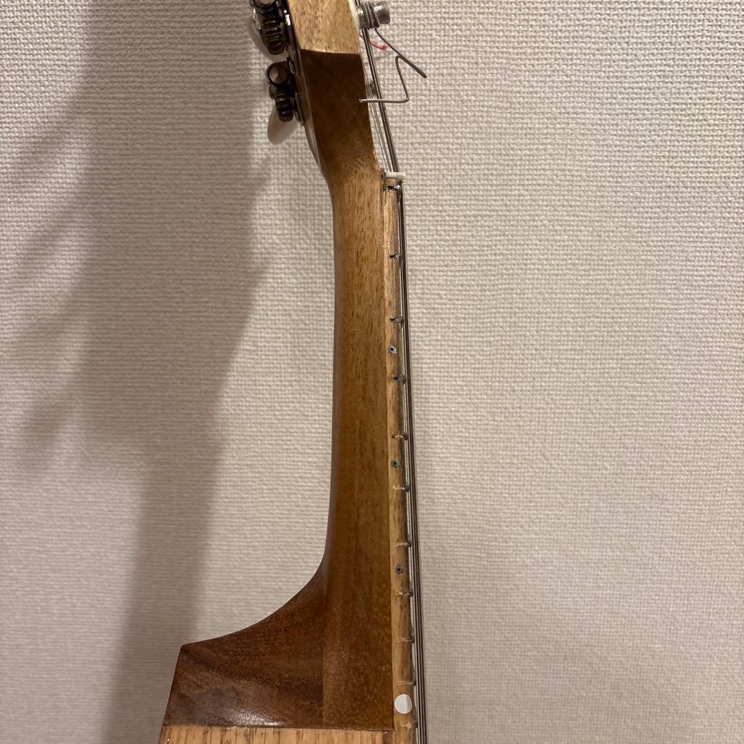 バジコ（フラットマンドリン）•ケース