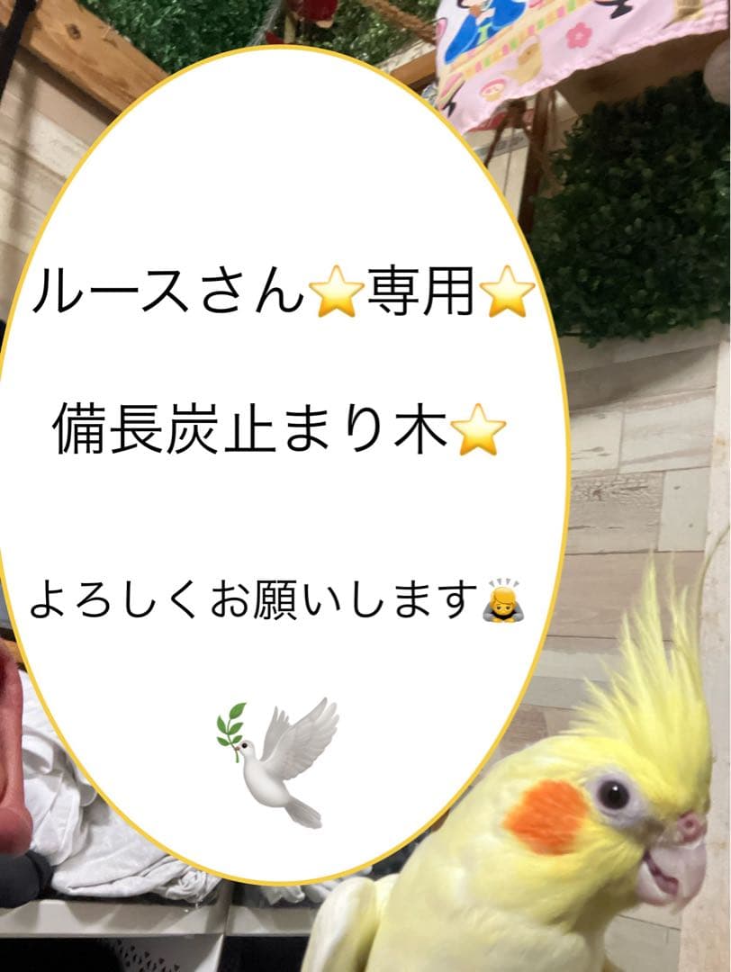 備長炭止まり木⭐️パーチ⭐️止まり木⭐️専用です♪♪( ´θ｀)✨ 備長炭止まり木⭐️パーチ⭐️止まり木⭐️専用です♪(๑>◡<๑)