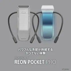 SONY REON POCKET PRO RNPK-P1 レオンポケット プロ